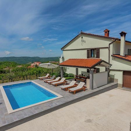 Spacious Apartment In Pazin With Pool Cerovlje Zewnętrze zdjęcie