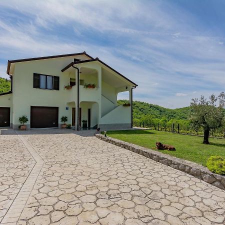 Spacious Apartment In Pazin With Pool Cerovlje Zewnętrze zdjęcie